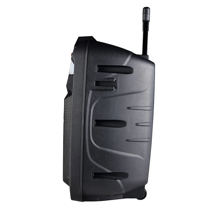 12 inch Wireless Party Speaker subwoofer Professional Trolley Speaker With Rechargeable Battery - ANKUX.COM