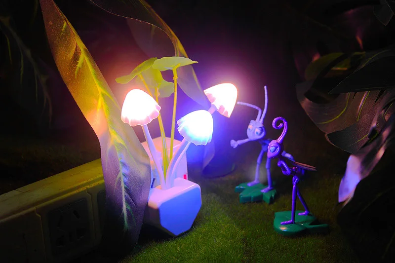 night light  (3)