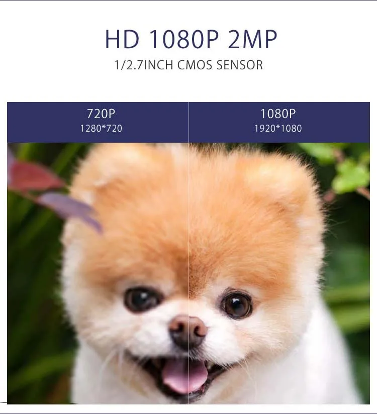 CF091v2_05