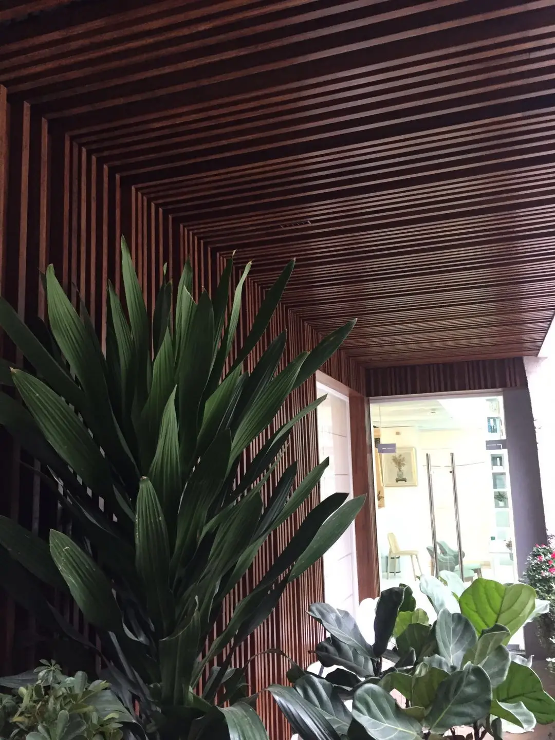 bamboo raft (2).jpg