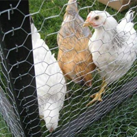 China Factory Manufacture Hot Sale chicken cage for sale in kerala