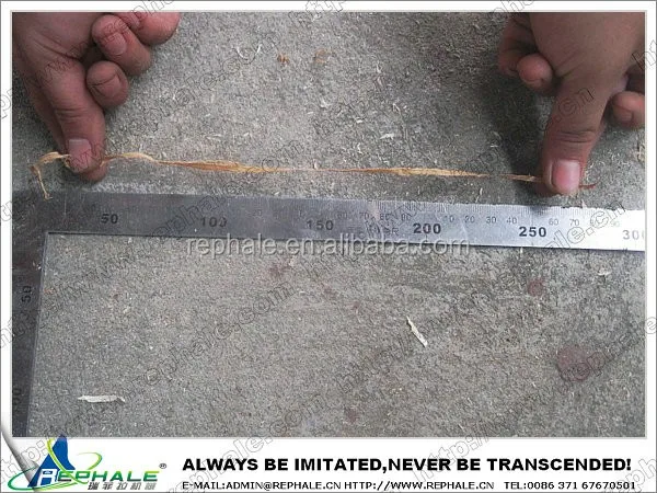 High quality excesior shredding machine on promotion