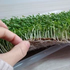Eco-friendly hydroponic growing mats for microgreens grow tray