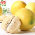 Fresh Fruit Pomelo/Big Pomelo/Pomelo Fruit