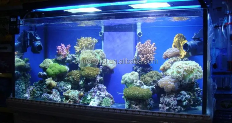 Acryl vis aquarium Dongguan unieke clear cube aquarium plastic vis kom groothandel