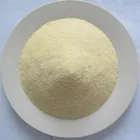 Factory Supply Garlic Granules Dehydrated
