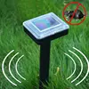 /product-detail/creative-eco-friendly-solar-powered-outdoor-garden-yard-ultrasonic-sonic-mole-vole-snake-rodent-pest-repeller-60740488583.html
