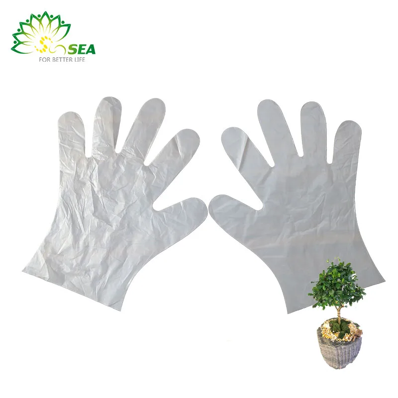 disposable kitchen food gloves