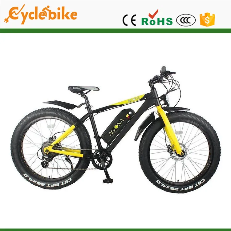 Professional portable electrical bicycle for wholesales
