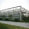/product-detail/hot-sale-hydroponic-single-span-polycarbonate-tunnel-greenhouse-for-rose-60652282084.html