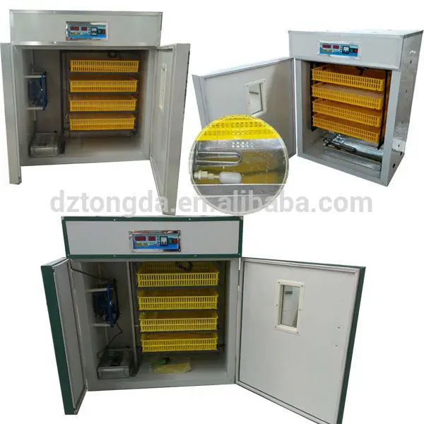 Hot selling wants ostrich chicks incubators with high quality