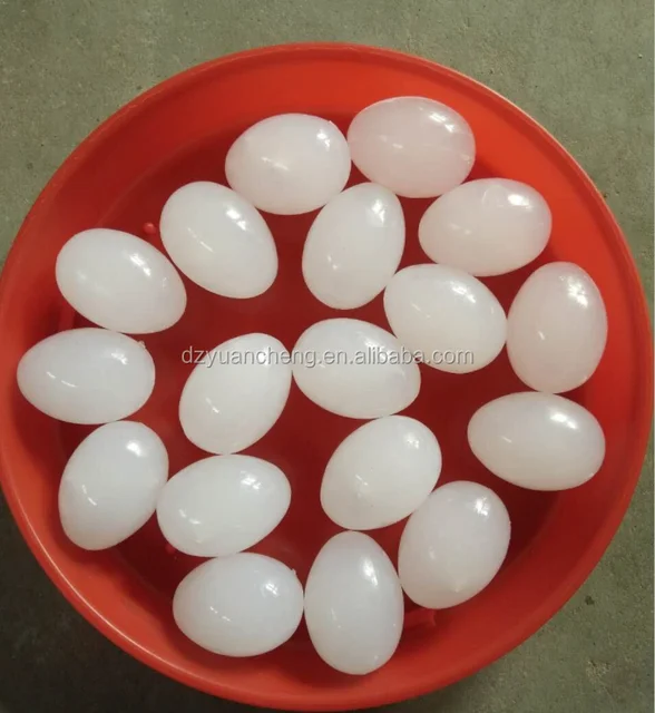 pigeons fake eggs