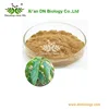 /product-detail/health-food-yerba-mate-extract-yerba-mate-extract-powder-ilex-paraguariensis-leaf-powder-60496060733.html