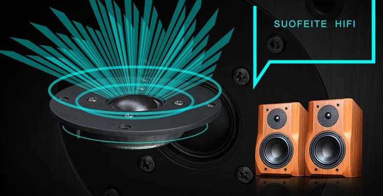 Delixin F30 6.5 inch wooden box super bass Hifi speaker cheap bookshelf speaker from China factory - ANKUX.COM