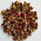 New products high quality No pesticide residues organic spice Sichuan pepper