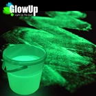 Glow In The Dark Neutral Paint Luminous Luminescent Paint