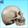 /product-detail/resin-material-and-figurine-product-type-rhinestone-resin-skull-60162277975.html