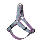 2019 Hot Selling high quality reflective webbing safety pet dog harness