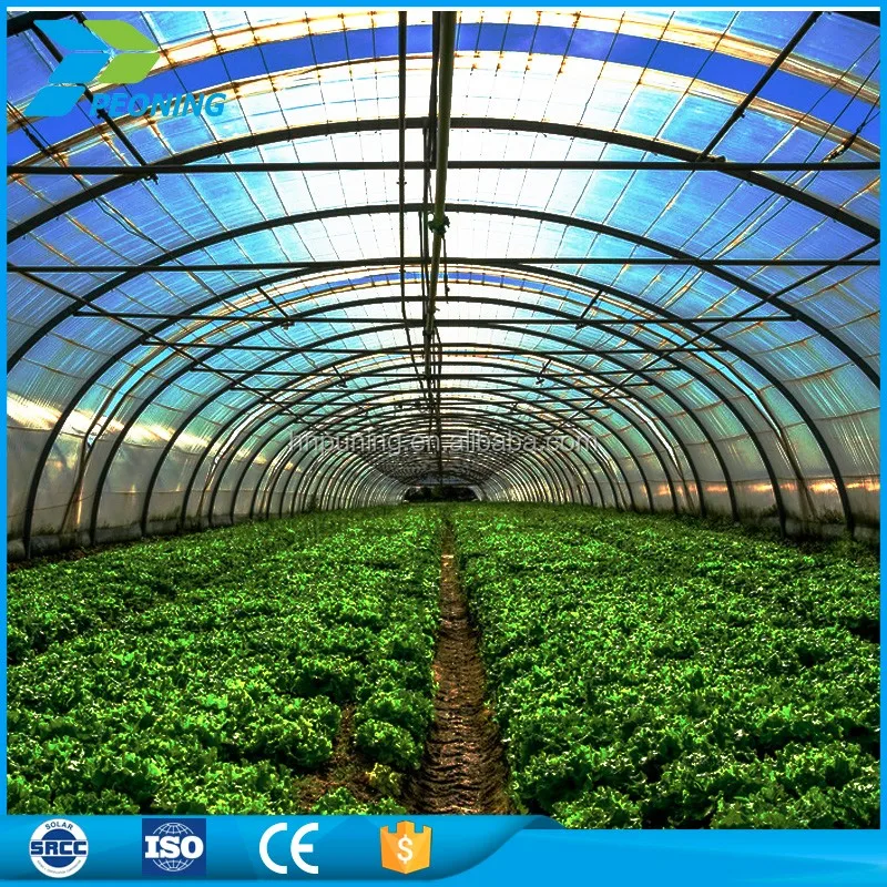 High Quality Transparent Polycarbonate Sheet Greenhouses