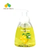 Manufacturing process lemon fruit raw material liquid hand wash