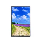 10.1 Inch 800x1280 TFT LCD Screen Panel Car Display With MIPI Interface