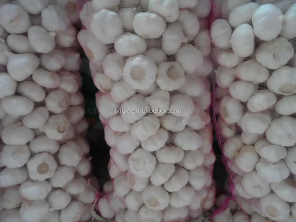 fresh garlic from china jixiang