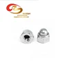Carbon Steel /stainless steel hex domed cap nut/acorn nut