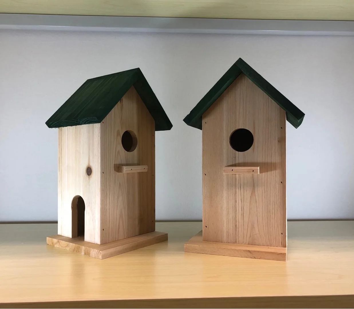 NEST-0018B.jpg
