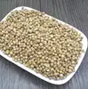 High quality bulk sale Cilantro fruits, coriander greens, coriander herb
