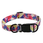 High Quality Pet Shop Products Strong Sewn Comfortable Dog Training Collar