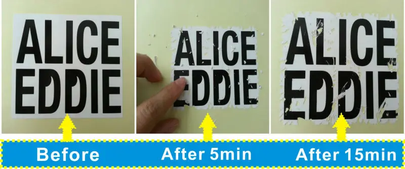 eggshell sticker printing