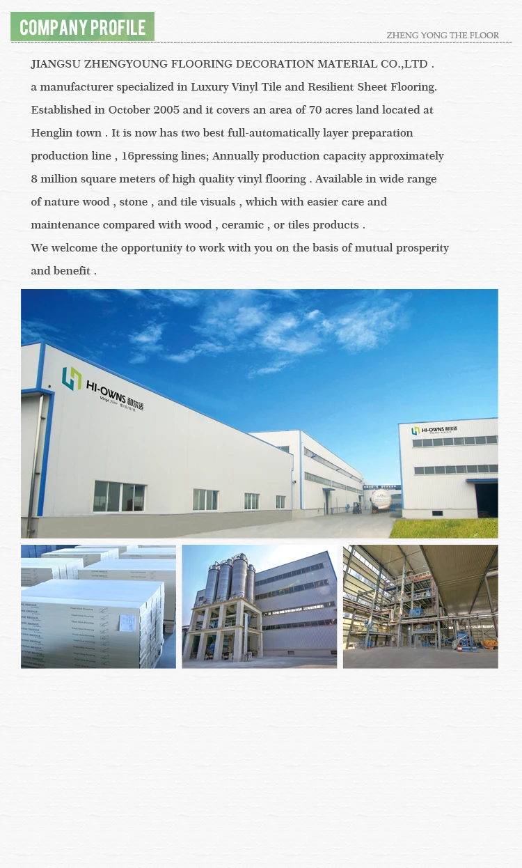 All kinds of Stone PVC Flooring for indoor and outdoor 4.5mm