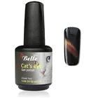 3d Professional UV Gel Manufacturer 6 Colors 3D Cat Eye Nail Polish