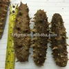 Price Of Dried Brown Sea Cucumber