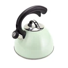 2.5 L yellow 304 Stainless Steel ceramic coating whistling water tea kettle