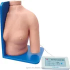 Shoulder Joint Intracavitary Injection Simulator Medical Training Model for Teaching