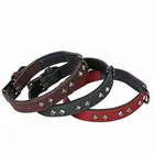Wholesale custom logo dog collar luxury engraving id