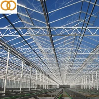 Small Size Greenhouse For Tomato Single