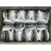 /product-detail/hot-sale-best-seafood-pacific-frozen-mackerel-fish-for-canned-food-60704324583.html