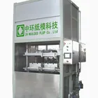 Egg Production Samll Business Plant Eco-Friendly Chicken Egg Tray/Egg Box/Fruit Tray Production Line 400pcs-700pcs/hr