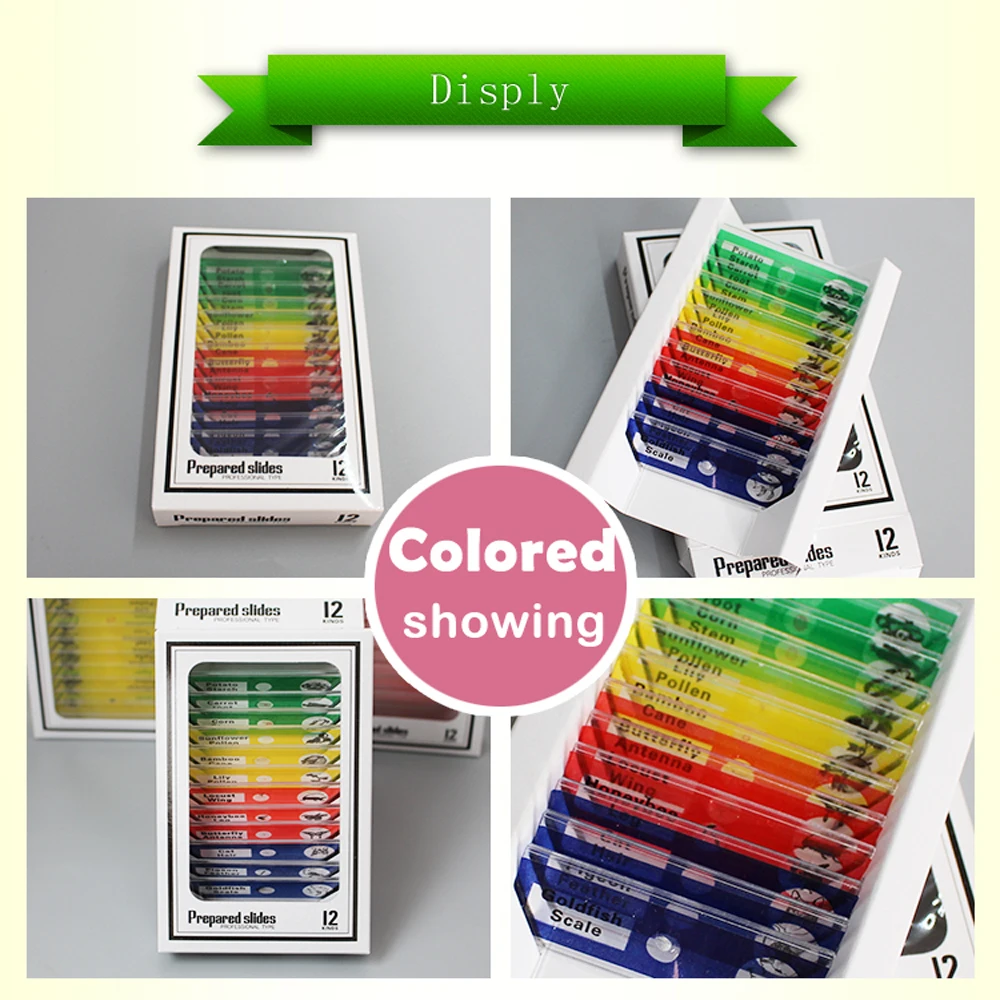4 as a gift for children 4 sets plastic microscope slides set
