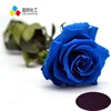 Kinds of colors water soluble dye blue dye for natural flower