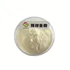 100% Natural Organic Lime Extract Powder in Bulk Sale