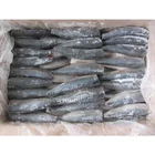 Seafood Indian Horse Frozen Mackerel Fish HGT