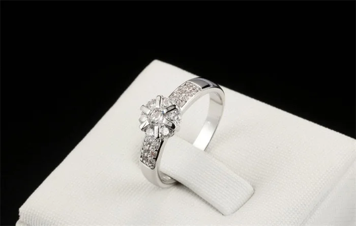 3730407956_1885966581