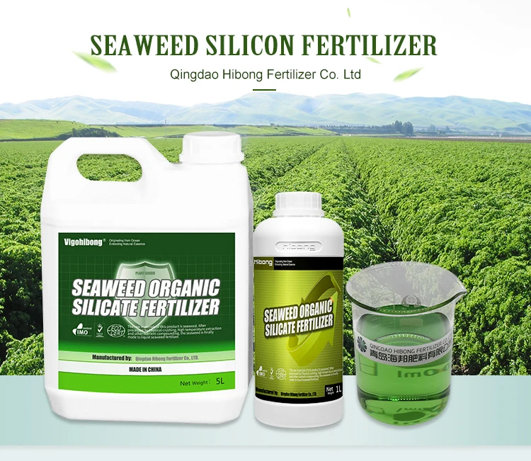 Agriculture Use Organic Liquid Seaweed Silicon Fertilizer