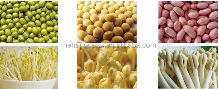 soybean mung black bean sprout making machine plant growth