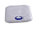 Wipes Factory Wipes OEM ODM Plastic Box Packed Custom Wet Wipes