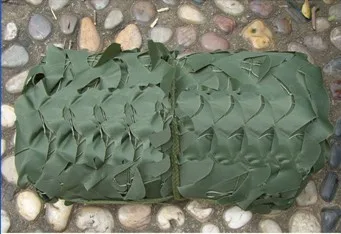 green net1.jpg