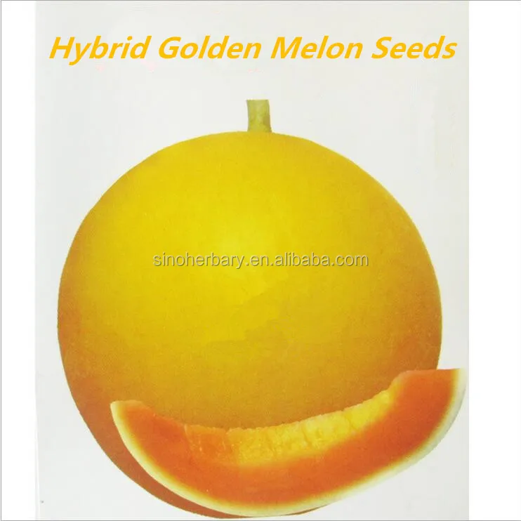 1 yellow melon seeds for sale